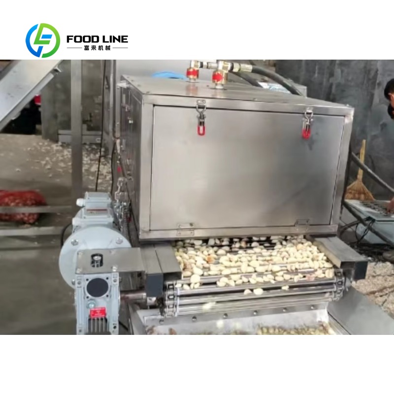 Garlic Peeling Machine 6gqp-0. - đánh giá và giá Agriculture Farming Process