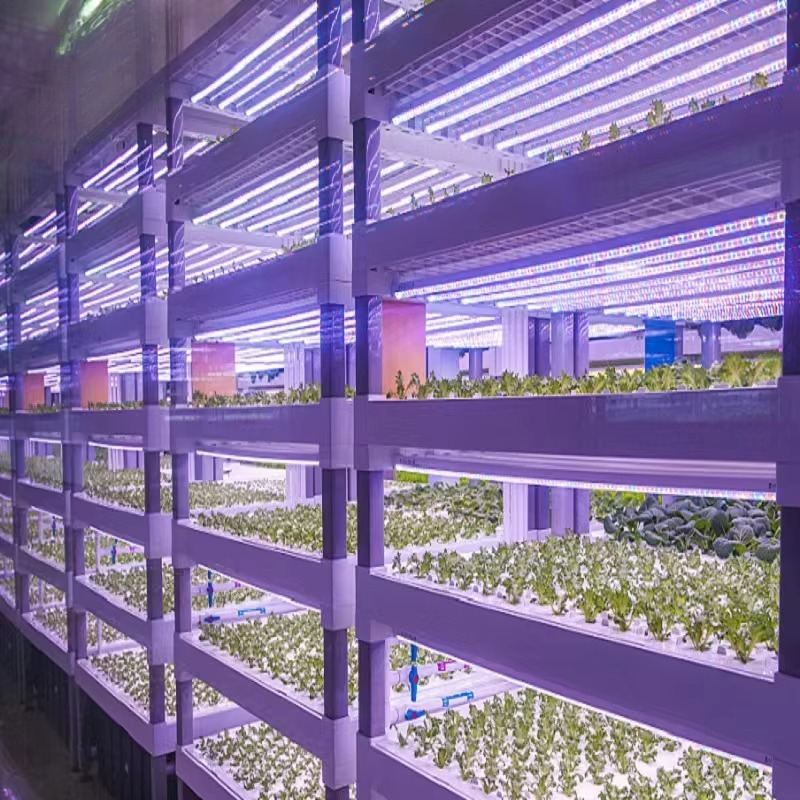 Custom Agricultural Greenhouse - đánh giá và giá Agriculture Farming Systems