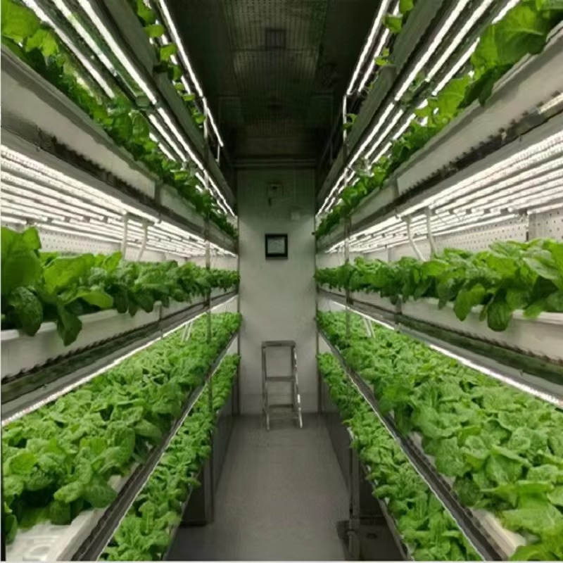 Custom Agricultural Greenhouse - đánh giá và giá Agriculture Farming Systems